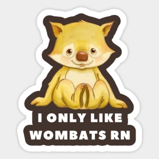 I Only Like Wombats Right Now Sticker